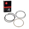 301cc Piston & Ring and Gasket Seal Engine Rebuild Kit