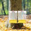 Reallnaive 12 Set Maple Syrup Tapping Kit Maple Tree Sap