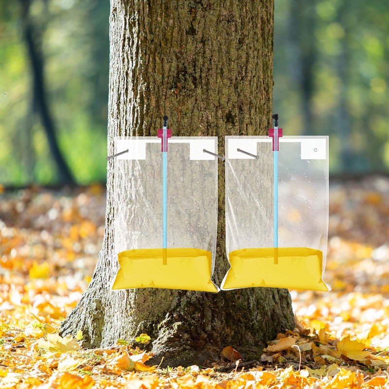 Reallnaive 12 Set Maple Syrup Tapping Kit Maple Tree Sap