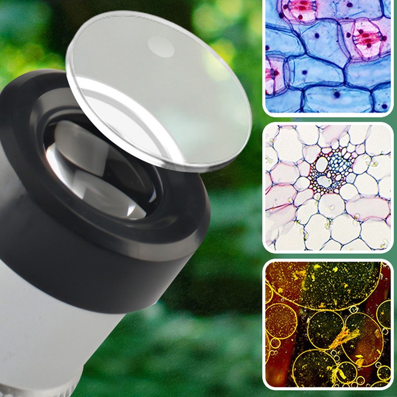 Children Science Microscope Kit 1200X Magnification Biological HD Educational Science