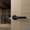 XFORT Smart Lock Door Handle, Stainless Steel in Black, Lever