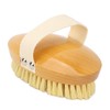 Massage Body Bath Brush Lymphatic Drainage Exfoliating Detox Deep Cleaning