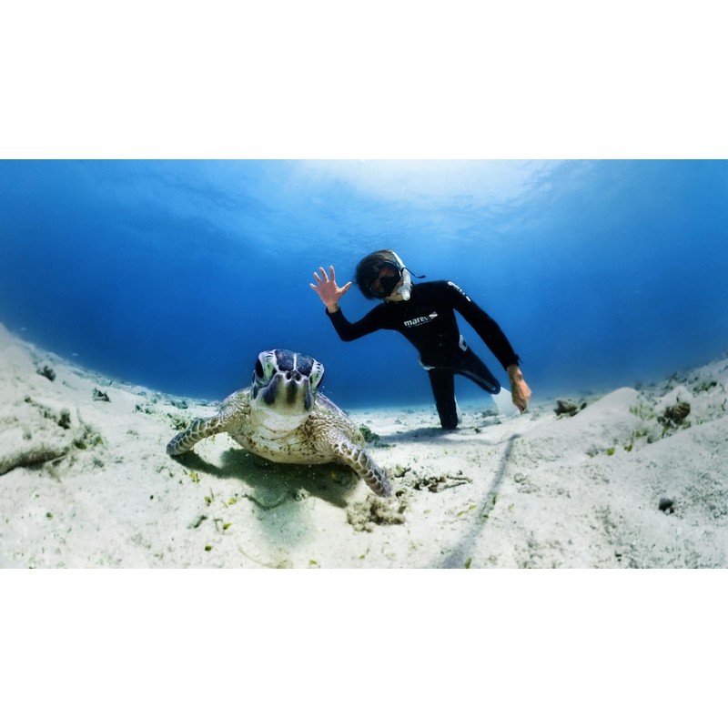 Insta360 X3 Invisible 50M (164ft) Dive Case/Housing