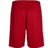 hummel Men's Breathable Core Poly Shorts, red, m