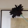 Azuma Feathers Ostrich Feather Duster Feather Duster 40 ag713