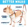 2 Hounds Design - Freedom No-Pull Harness & Training Leash