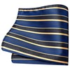 GUSLESON Mens Gold Tie for Wedding Navy Striped Silk Necktie