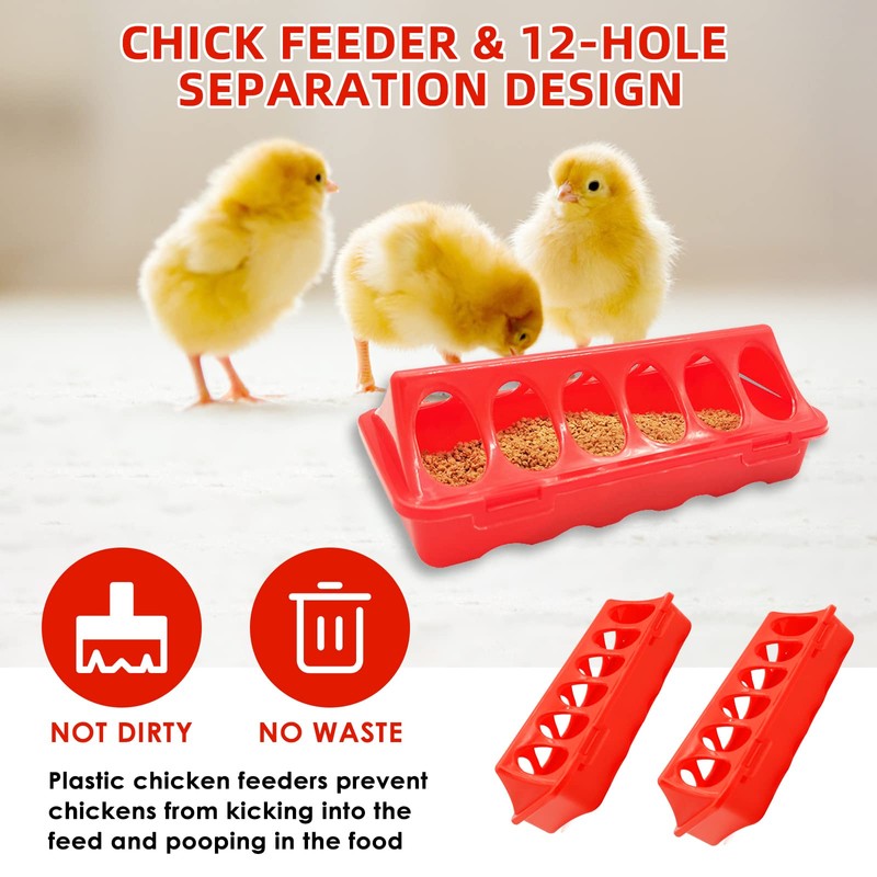 GIFANK Chick Brooder Box Starter Kit with Chick Perch,flip Top