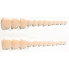 Classic French Manicure Glossy Press On Toenails - 24 Pieces - Artificial Nail Kit