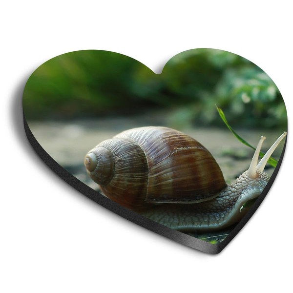 1x Heart MDF Magnet 6cm - Garden Snail Wildlife Nature