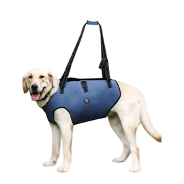 Coodeo Dog Lift Harness, Pet Support & Rehabilitation Sling Lift Adjustable Padded Breathable Straps for Old, Disabled, Joint Injuries, Arthritis, Loss of Stability Dogs Walk (Blue, M)