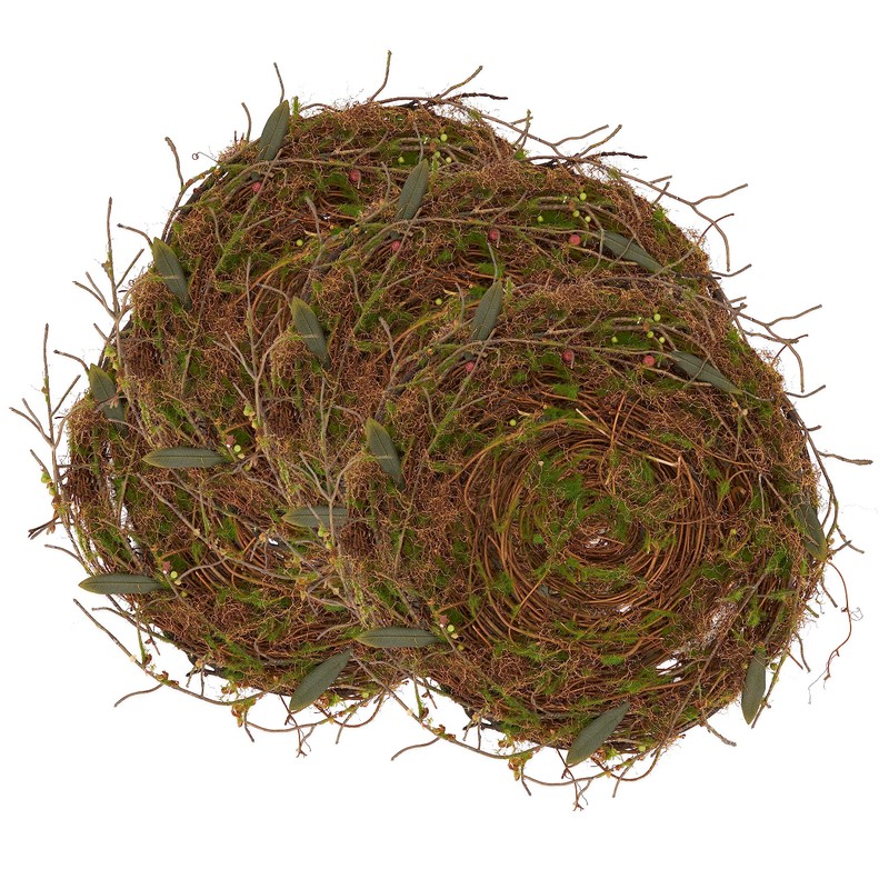 Rustic Charm Twig and Moss Placemat (Set of 4)