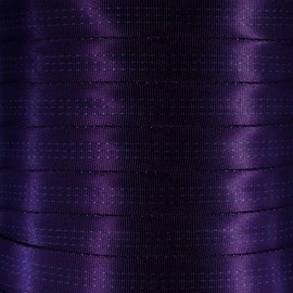 West Coast Paracord 1-Inch Tubular Nylon Webbing – Premium Heavy Duty Lightweight with Breaking Strength of 4000 Pounds – Outdoor All Purpose Straps for Climbing and Securing (Purple, 10 Yards)