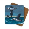 Puffins Flying Drinks Coasters by Wildlife Artist Julian Friers -