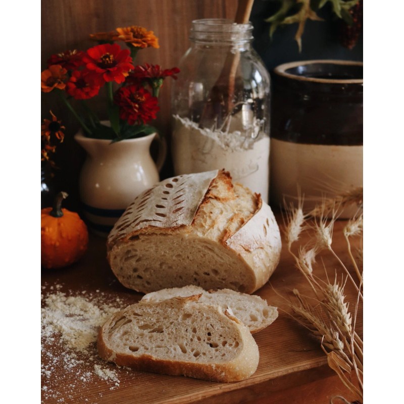 Heritage Sourdough Sourdough Starter Dehydrated Sour 145+ YRS OLD WHARF