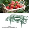 Strawberry Support, 20 Pack Strawberry Plant Support Strawberry Stand Holder