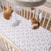 Pine Fox 2-Pack Microfiber Fitted Crib Sheet Set by Sammy