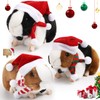 Vinsot 3 Pieces Christmas Plush Guinea Pig Stuffed Animal with