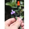 Mister Landscaper 10 GPH Violet Flow Controller