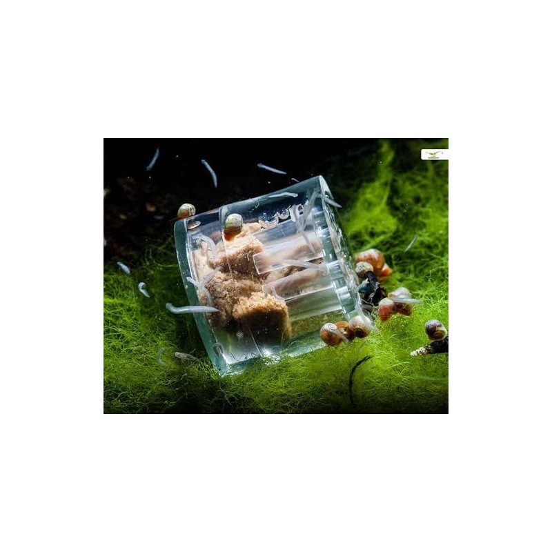 Biotope Aquatics Ltd - Aquarium Shrimp Keeping Foods & Accessories