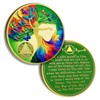 4 Years Sobriety Chip Butterfly Tree of Life AA Coins