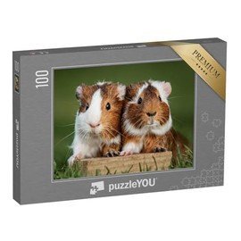 puzzleYOU: Jigsaw Puzzle 100 Piece "Two Pretty Guinea Pigs" - Farm Animals Guinea Pigs Puzzle Collection