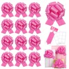 12 pcs Rose Pink Pull Bow Large Glitter Gift Wrapping