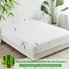 LINENOVA Bamboo King Single Fitted Sheet 1 Piece Only- 2000TC