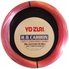 Yozuri LIDER FLUOROCARBONO HD150LB Color DP