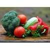Set of 12 Squash- Zucchini Vegetable Seed Packs - Create