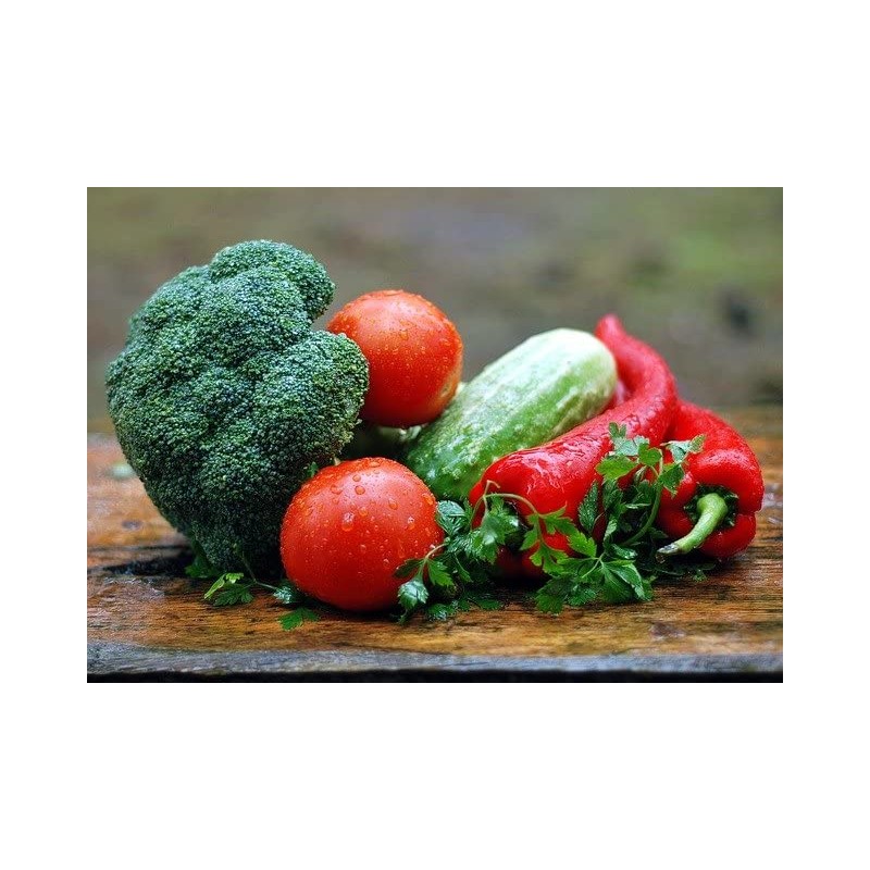 Set of 12 Squash- Zucchini Vegetable Seed Packs - Create