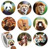 Pack of 500 Animal Stickers Reward Stickers for Children, 2.5