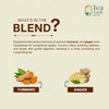 Tealeaf & Co. Turmeric Ginger Herbal Tea - Organic Ginger
