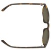 Scott Reef Sports / Leisure Glasses Tortoise Brown/Brown