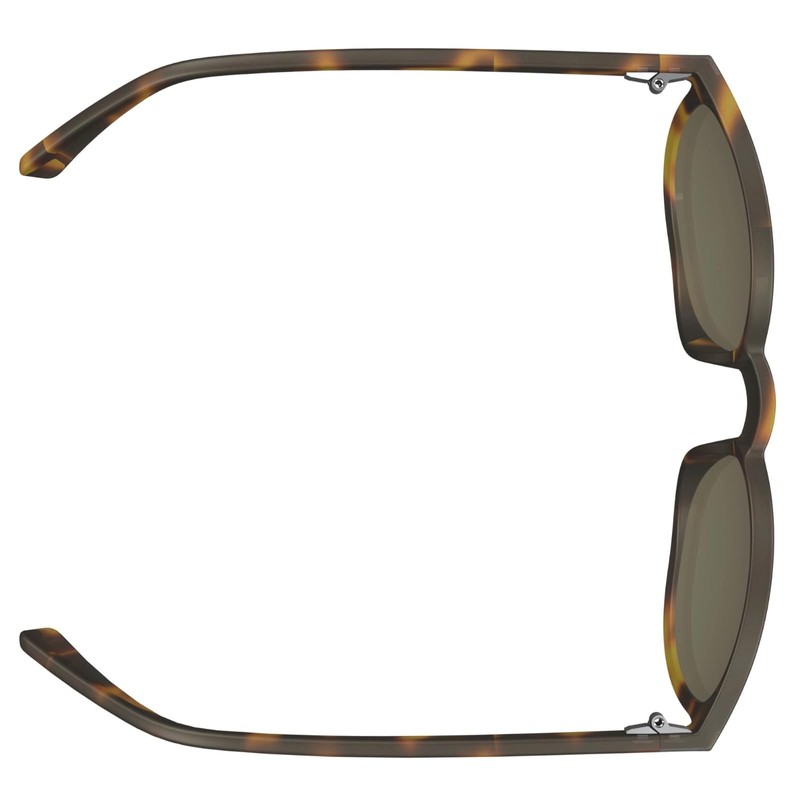 Scott Reef Sports / Leisure Glasses Tortoise Brown/Brown
