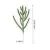 XZJMY 35Pcs Real Touch Norfolk Pine Branch,Christmas Norfolk Pine Branches,Faux