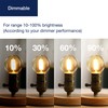 FLSNT 60W Equivalent LED Globe Candelabra Bulbs, Dimmable G16.5 LED