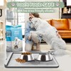 Silicone Dog Food Mat With Residue Collection Pocket - Waterproof