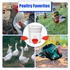8pcs Automatic Chicken Water Cups, Large Professional Chicken Watering Cup