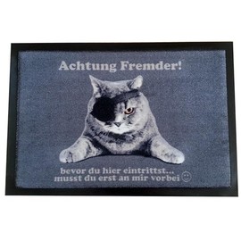 Doormat Animals Owls Cats Dogs Flowers for Indoor and Outdoor Use Home 40 x 60 cm Weatherproof Non-Slip Washable (Pirate Cat)
