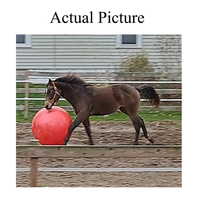 SEIWEI Rosenrot Anti-Burst-Gymnastikball mit Pumpe, Rutschfester Balanceball, Fitnessstudio-Zubehör für Fitness,