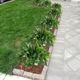 6 Plantas Artificiales, Plantas Artificiales, arbustos con Hojas Verdes, Plantas Verdes al Aire Libre, Plantas de plástico para Primavera, jarrón,... 
