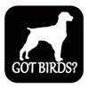 Brittany Spaniel got birds TP 1335 vinyl 6" Decal Sticker
