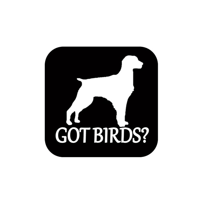 Brittany Spaniel got birds TP 1335 vinyl 6" Decal Sticker