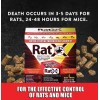 RatX 2 Pk Ready-to-Use Rat Bait Trays. Effective on All