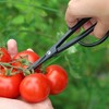 Kobayashi Made in Scissor Harvester Gardening Shears