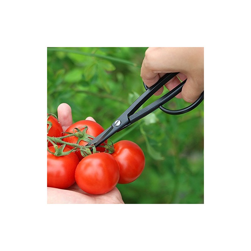 Kobayashi Made in Scissor Harvester Gardening Shears