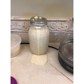 Unbranded yeast from 1633 HISTORIC Bavarian "Black Death" PLAGUE Sourdough Starter