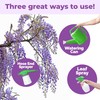 Wisteria Fertilizer – Liquid Plant Food for More Blooms, Stronger