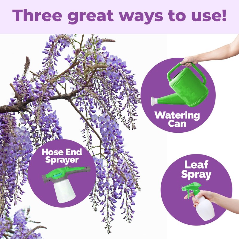 Wisteria Fertilizer – Liquid Plant Food for More Blooms, Stronger